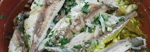 Carapaus Alimados Receita da Semana